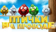 скачать Птички На Проводе бесплатно (средняя))