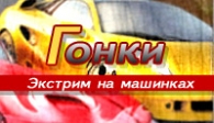 скачать Race Cars бесплатно (средняя))